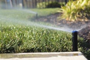 irrigation & sprinkler systems